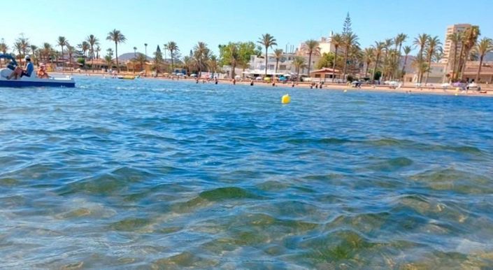 Image No.13-Villa de 3 chambres à vendre à Torre Pacheco Town