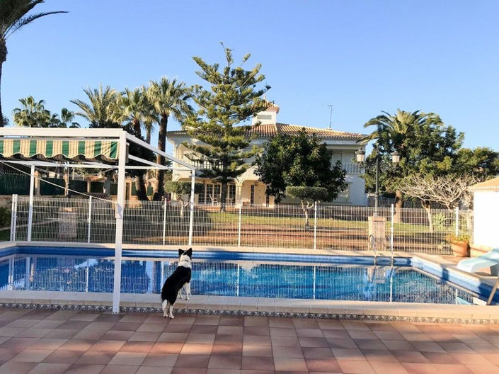 Image No.2-Villa de 6 chambres à vendre à Cabo Roig