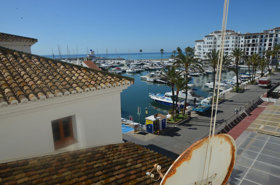 Photo 4