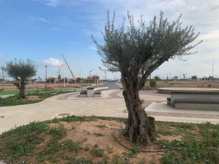 Image No.31-Maison de 3 chambres à vendre à Roldan