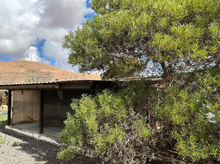 Image No.26-2 Bed House for sale