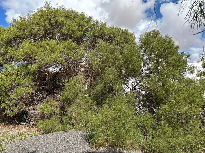 Image No.27-2 Bed House for sale