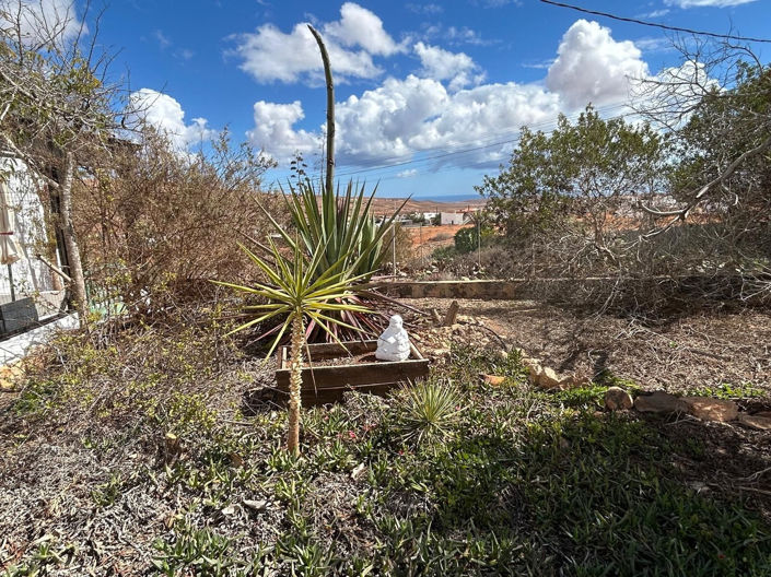 Image No.29-Maison de 2 chambres à vendre à Puerto Del Rosario