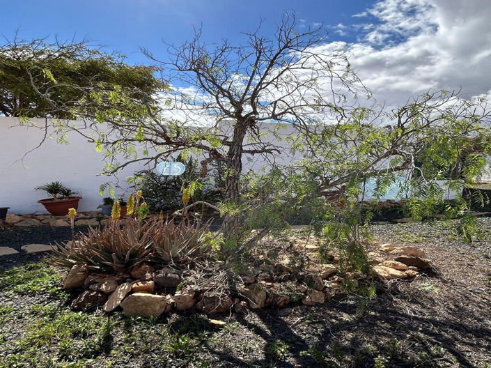 Image No.39-Maison de 2 chambres à vendre à Puerto Del Rosario