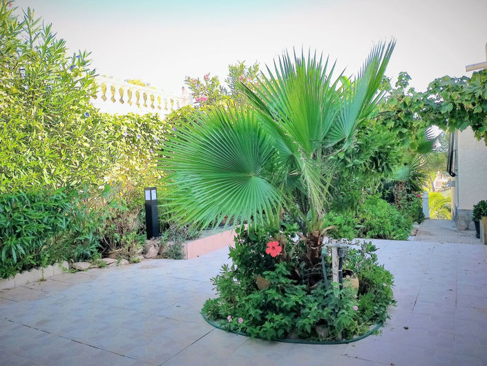 Image No.10-8 Bed House for sale