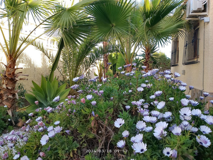 Image No.14-8 Bed House for sale