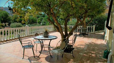 7-aa4cc561180b369757c0bb4af9886cd3