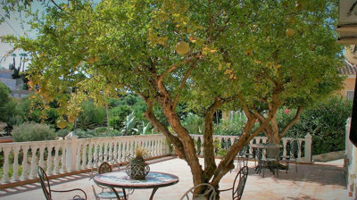 8-e64a9055bba3e77ac8aca3b893cdf826