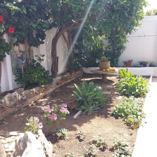 Image No.14-3 Bed House for sale