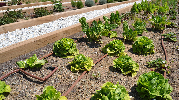Image No.44-Propriété de 2 chambres à vendre à Fuengirola