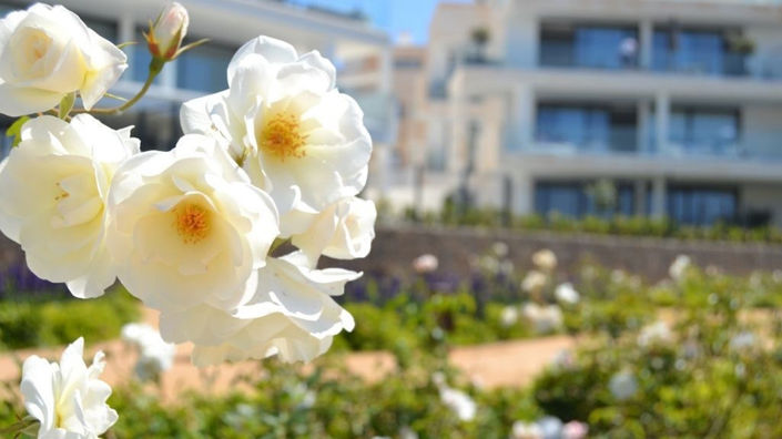 Image No.46-Propriété de 2 chambres à vendre à Fuengirola