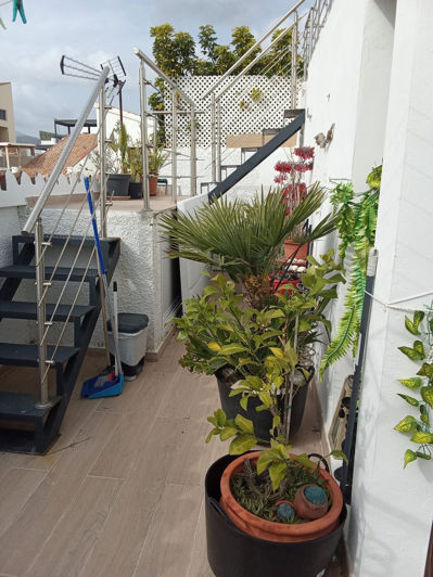 Image No.10-3 Bed House for sale