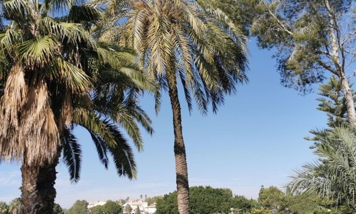 Image No.33-2 Bed Apartment for sale