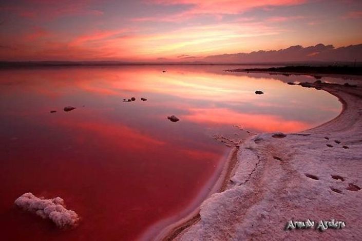 Image No.47-Duplex de 2 chambres à vendre à Torrevieja