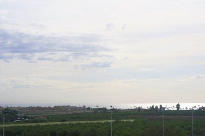 mlsc1342268-image-4