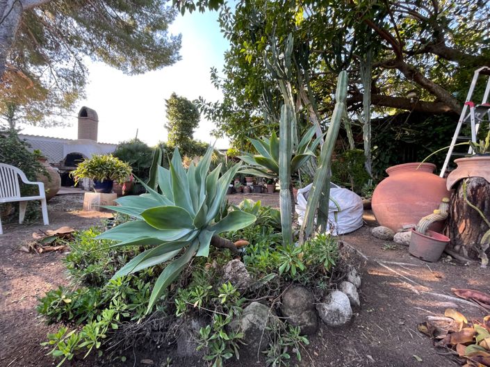 Image No.16-Villa de 5 chambres à vendre à Orihuela Costa