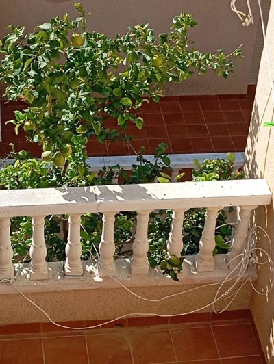 Image No.16-2 Bed Bungalow for sale