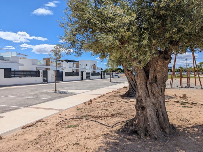 Image No.5-3 Bed Villa for sale