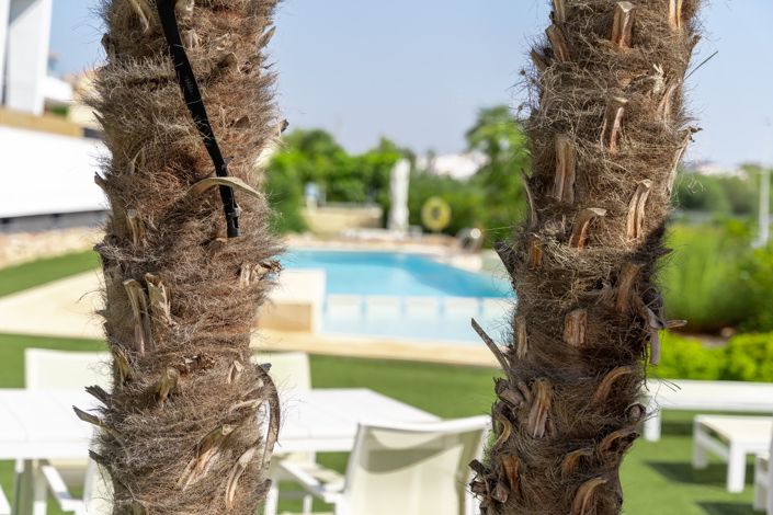 Image No.45-Penthouse de 3 chambres à vendre à Orihuela Costa