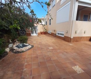 property184621732