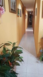 apartment-la-mata-dh-p2632-5