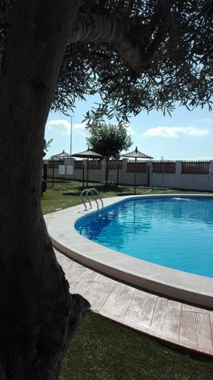 Image No.2-Villa de 3 chambres à vendre à Rojales