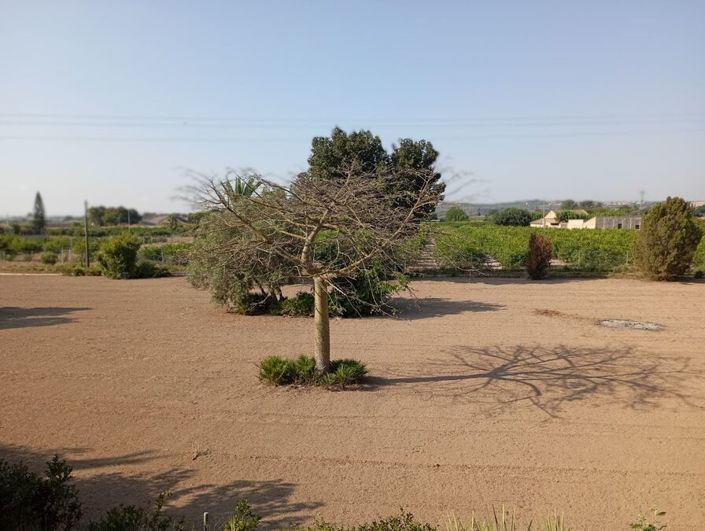 Image No.9-4 Bed Villa for sale