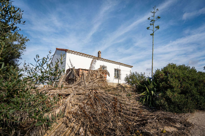 Image No.10-2 Bed Finca for sale