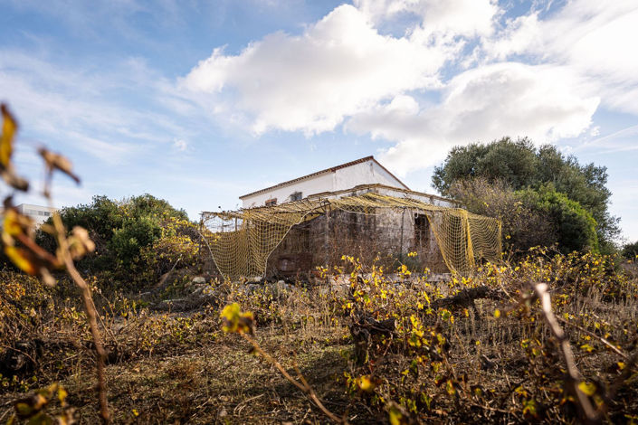 Image No.2-2 Bed Finca for sale