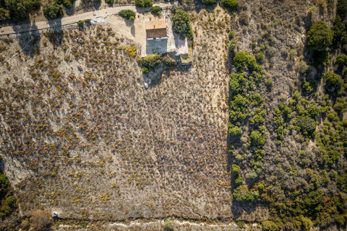 Image No.5-2 Bed Finca for sale