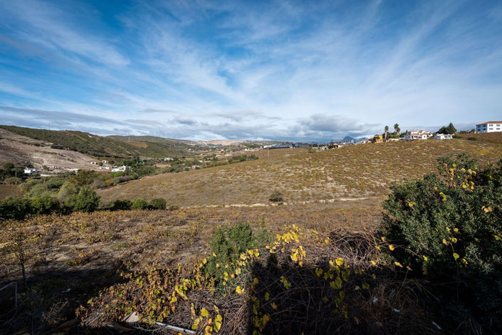 Image No.5-2 Bed Finca for sale