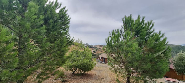 Image No.10-3 Bed Finca for sale