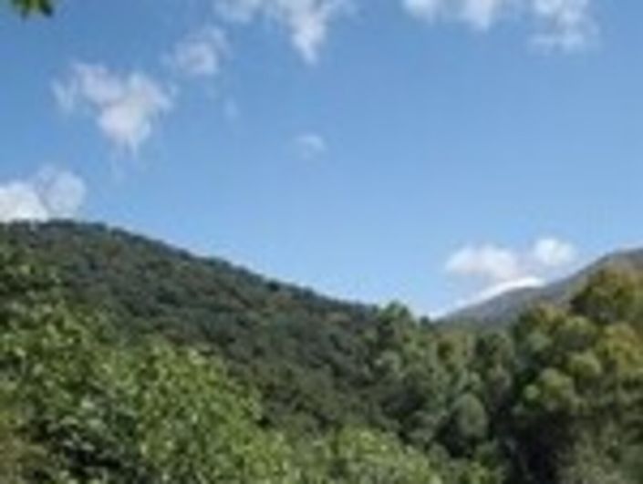 Image No.1-4 Bed Finca for sale