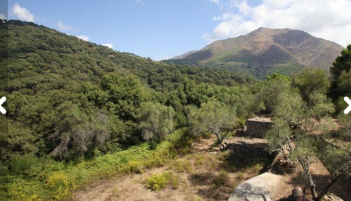 Image No.2-4 Bed Finca for sale