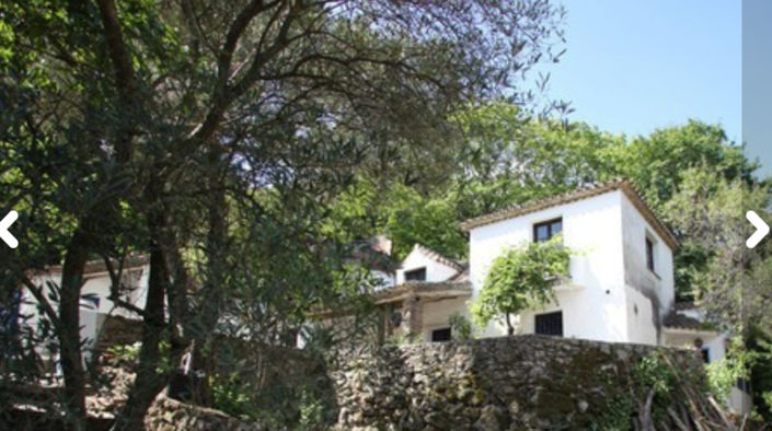 Image No.6-4 Bed Finca for sale
