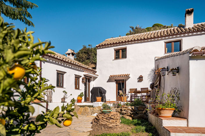 Image No.4-3 Bed Finca for sale