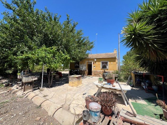 Image No.1-Finca de 2 chambres à vendre à Daya Nueva