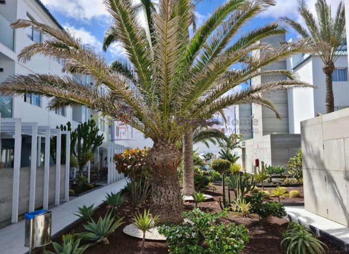 Image No.38-1 Bed Apartment for sale