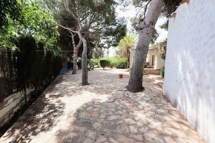 Image No.44-Maison de 6 chambres à vendre à Cabo Roig