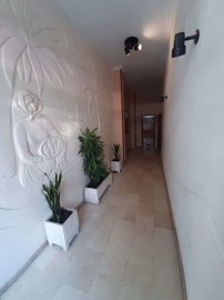 property188742491