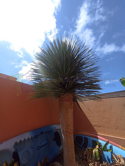 Image No.16-3 Bed House for sale