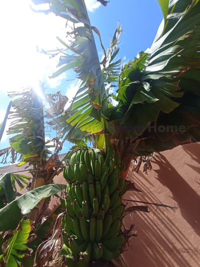 Image No.17-3 Bed House for sale