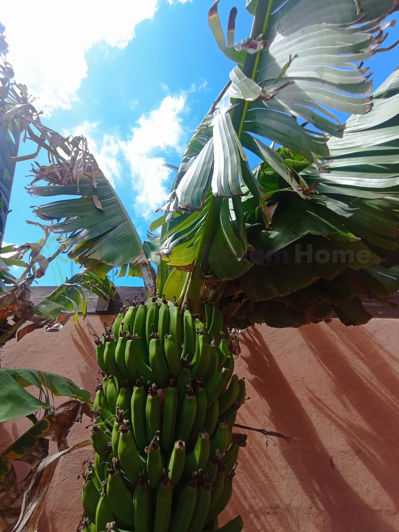 Image No.18-3 Bed House for sale