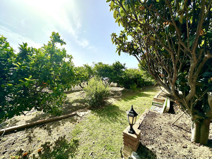 Image No.19-3 Bed Villa for sale