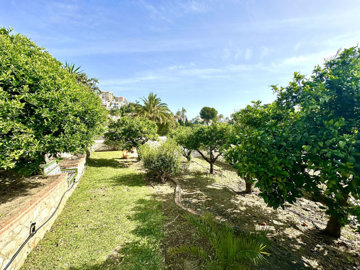 r50372742image