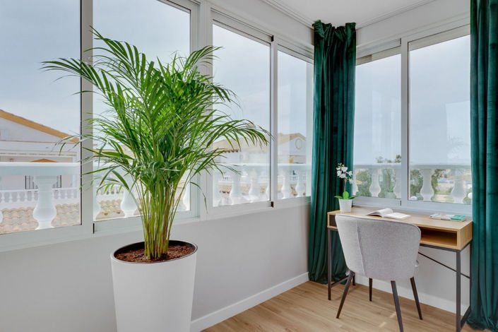 Image No.24-3 Bed House for sale