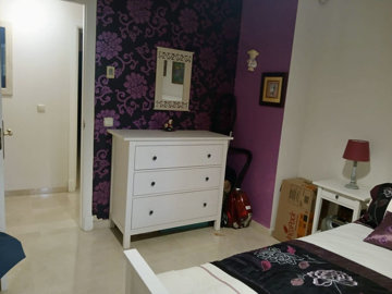 r504197511image