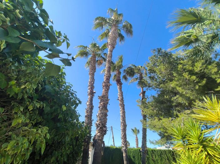 Image No.7-Villa de 5 chambres à vendre à Torrevieja