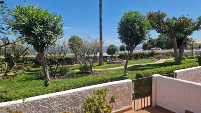 r50242815image
