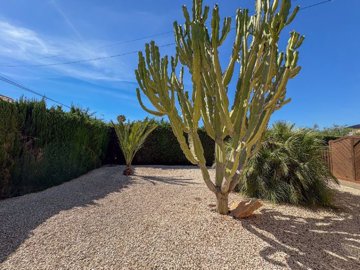 4104-villa-for-sale-in-torrevieja-103141-larg